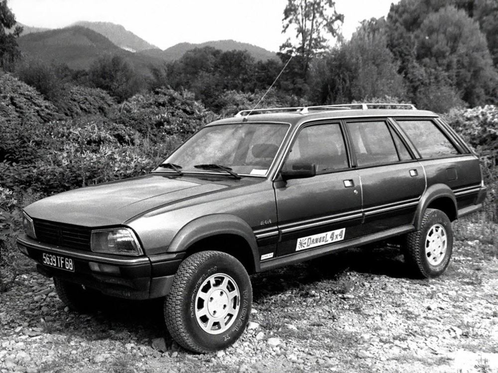 Dangel Peugeot 505